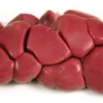 Beef Kidneys