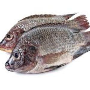 Tillapia Whole Fish 1kg